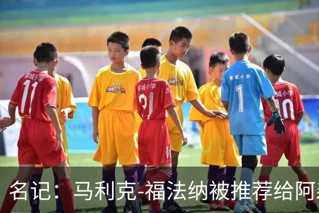 名记：马利克-福法纳被推荐给阿森纳，俱乐部并非都支持引进